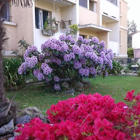 Les Floralies Bis Apartment Pau Bagian luar foto